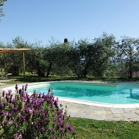 Agriturismo Il Castagnolino Villa San Gimignano Exterior photo